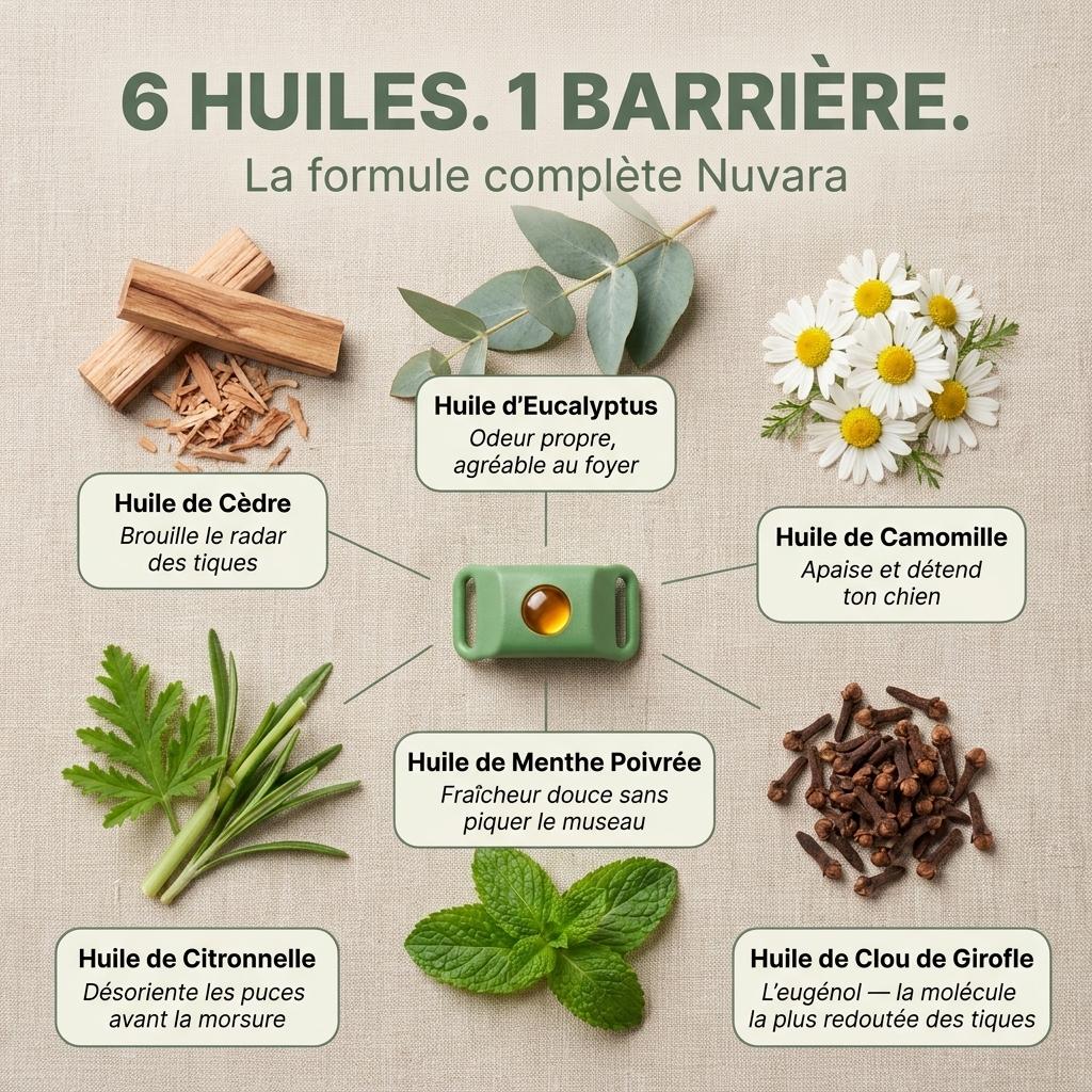 Pendentif Nuvara™ -  Protège ton chien naturellement sans rien lui faire absorber