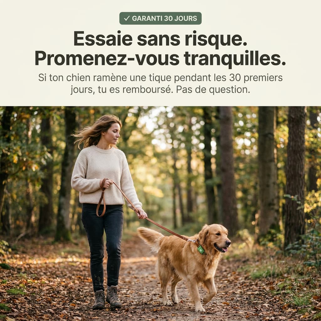 Pendentif Nuvara™ -  Protège ton chien naturellement sans rien lui faire absorber
