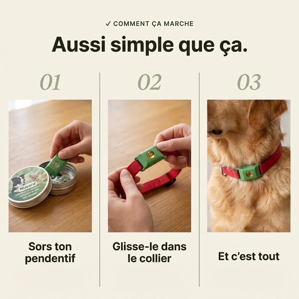 Pendentif Nuvara™ -  Protège ton chien naturellement sans rien lui faire absorber
