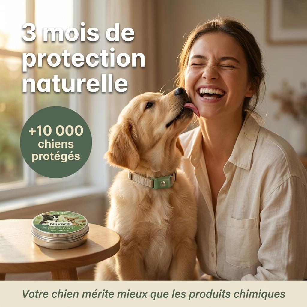 Pendentif Nuvara™ -  Protège ton chien naturellement sans rien lui faire absorber