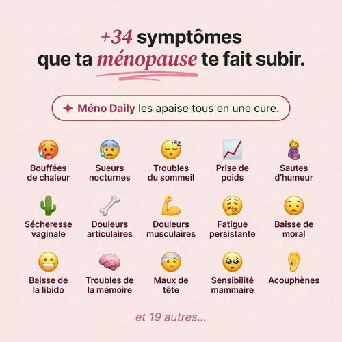 Nuvara - Méno Daily